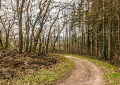 Paysage de Marche en Famenne