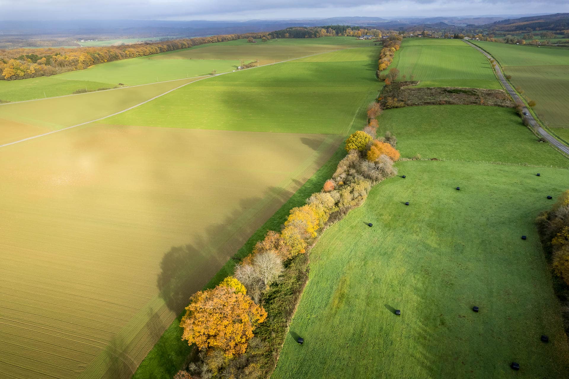 Vue aérienne des paysages de Marche en Famenne